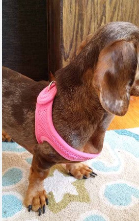 ChokeFree™ VelPro Mesh Harness