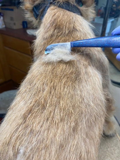 Groomer.dk Blue Diamond Edition - Carding Knife - Professional Dog Grooming Tool
