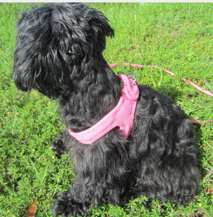 ChokeFree™ VelPro Mesh Harness