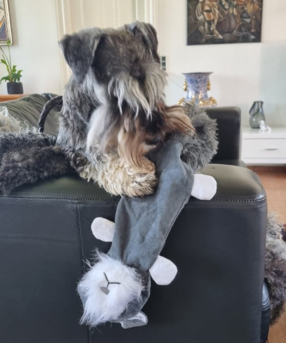 Dog Toy with Squeakers - Schnauzer - Professional Dog Grooming Tool